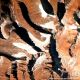 ภาพถ่ายดาวเทียม EarthScanner รายละเอียด 50 เซนติเมตร บริเวณ Maount Kailash, Tibet, China